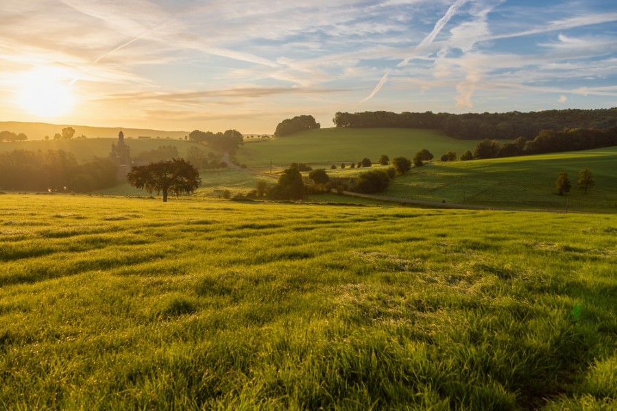 À la découverte des Monts des Flandres pour un voyage inoubliable