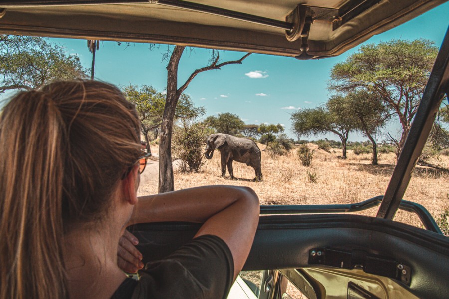 Quel tarif pour un safari en Tanzanie ?
