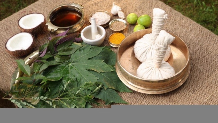Quels sont les remèdes traditionnels utilisés par les grands-mères pour traiter l'érysipèle au niveau des jambes ? Quels sont les remèdes traditionnels utilisés par les grands-mères pour traiter l'érysipèle au niveau des jambes ?