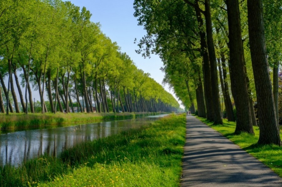 Quels sont les sentiers des randonnées dans les monts Flandres ?