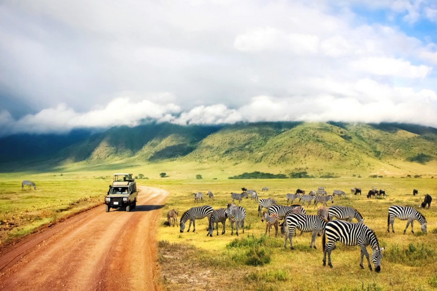 Quel est le prix réel d'un safari en Tanzanie ?